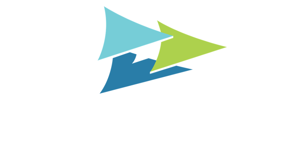 Charleston Metro Chamber of Commerce Logo
