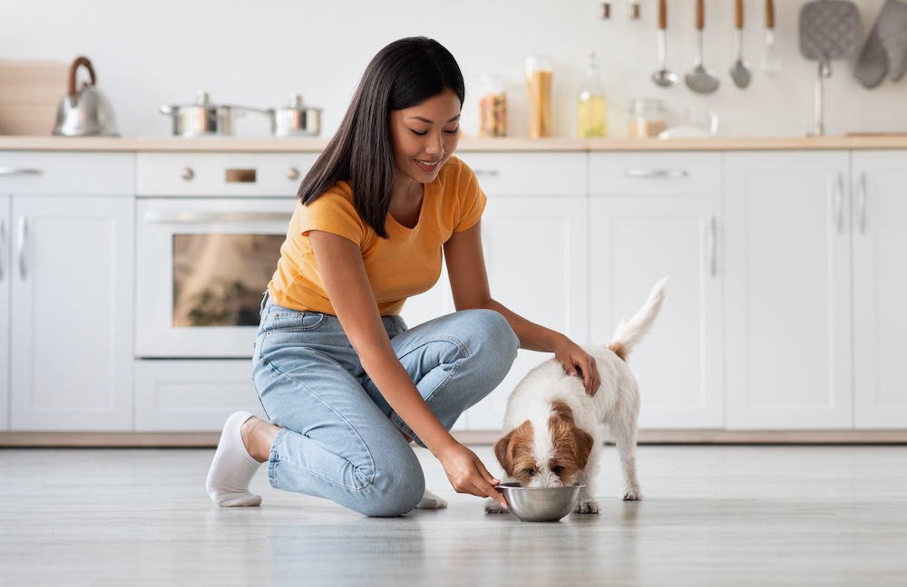 Pet Sitting Company For Sale